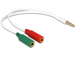 DELOCK καλώδιο 3.5mm 4-pin σε 2x 3.5mm 3-pin θηλυκό 65447, λευκό 65447