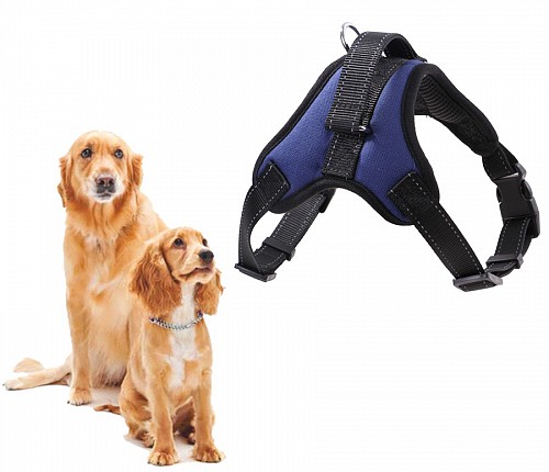 Σαμαράκι σκύλου ANM-0002 Νο S, μπλε ANM-0001