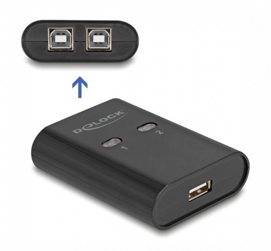 DELOCK USB Type B switch 11503, 2 σε 1, μαύρο 11503-DE