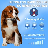 POWERTECH ηλεκτρικό κολάρο εκπαίδευσης σκύλου PT-1395 για αποτροπή γαυγίσματος PT-1395