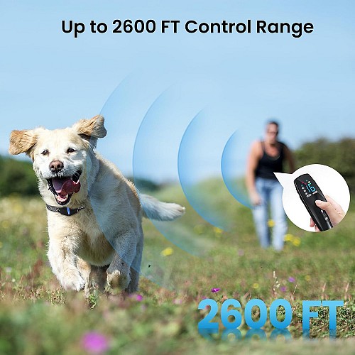 POWERTECH ηλεκτρικό κολάρο εκπαίδευσης σκύλου PT-1399 με ασύρματο χειριστήριο, εμβέλεια 300m PT-1399