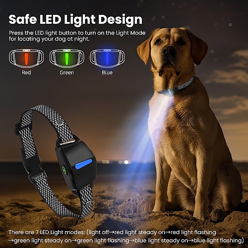 POWERTECH ηλεκτρικό κολάρο εκπαίδευσης σκύλου PT-1399 με ασύρματο χειριστήριο, εμβέλεια 300m PT-1399