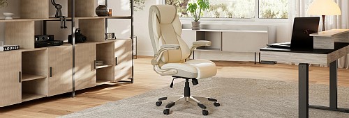 Καρέκλα Γραφείου - Eureka Ergonomic® ERK-OC11-B